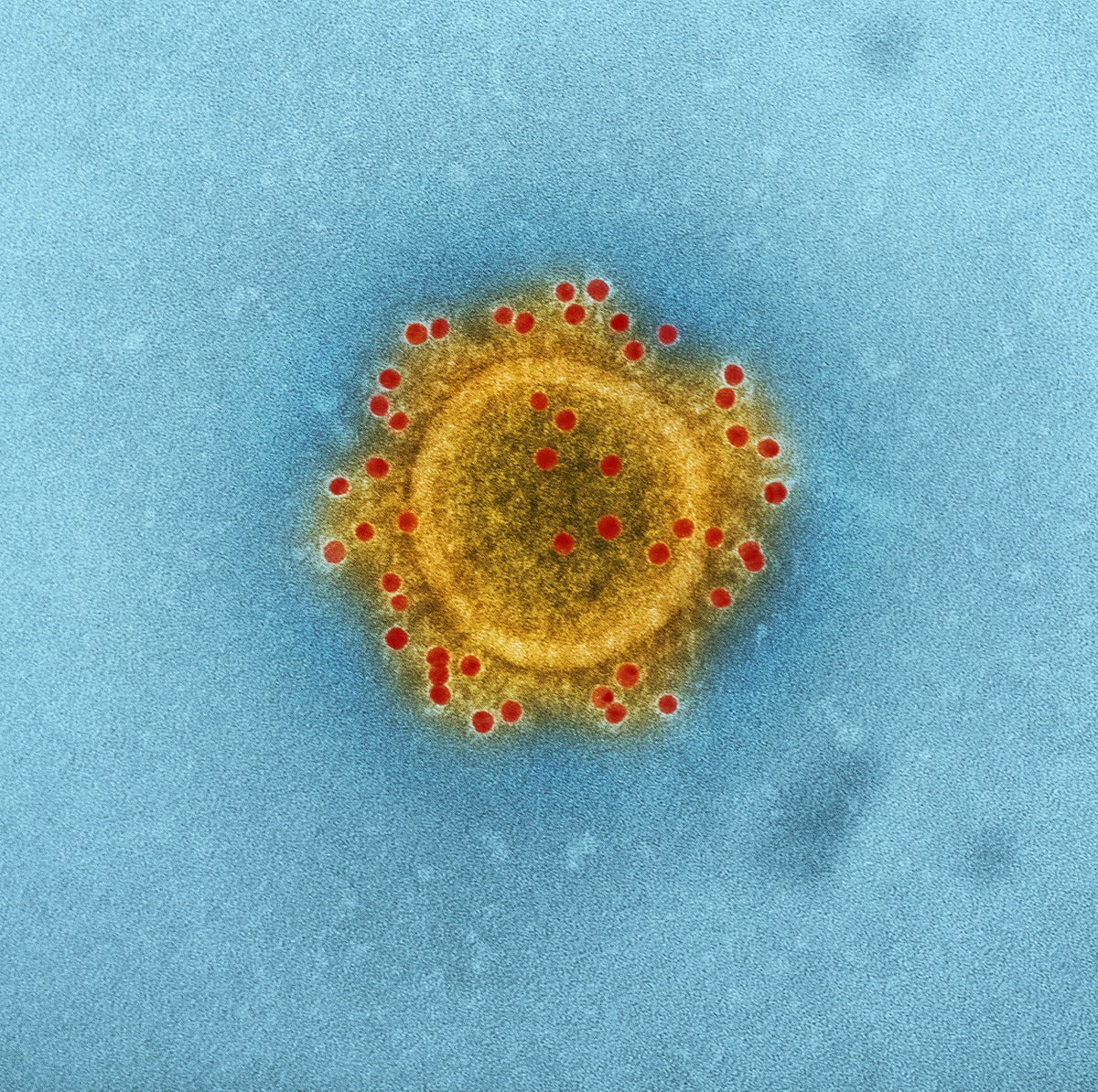 Anti-Bacterial